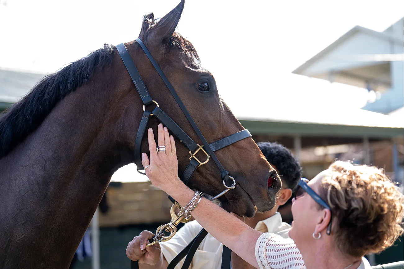 Intro to Racehorse Ownership | Start Your Journey with Monarch Racing