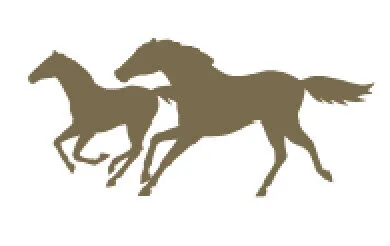 screenshot 2025 12 16 at 3.46.05 pm