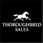 thoroughbred race series.png